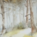 Sous bois